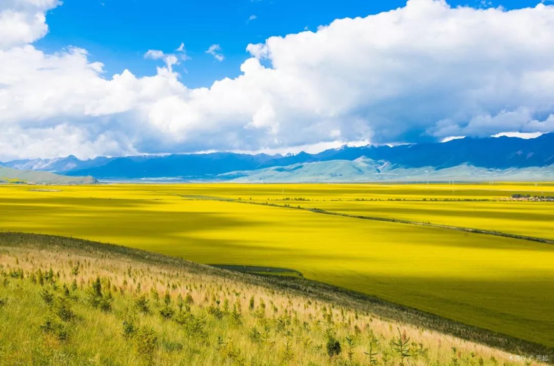 高原绿韵，青海绿色发展新篇章