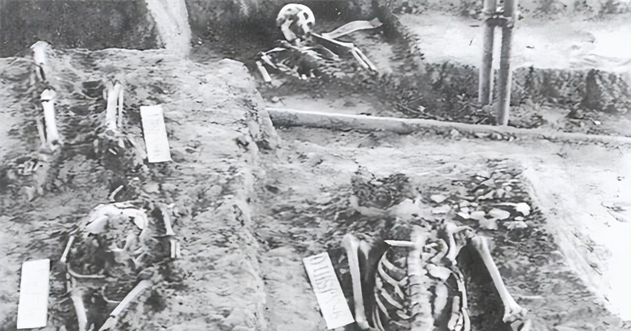 抚顺，探索与发现之旅